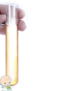 林主任